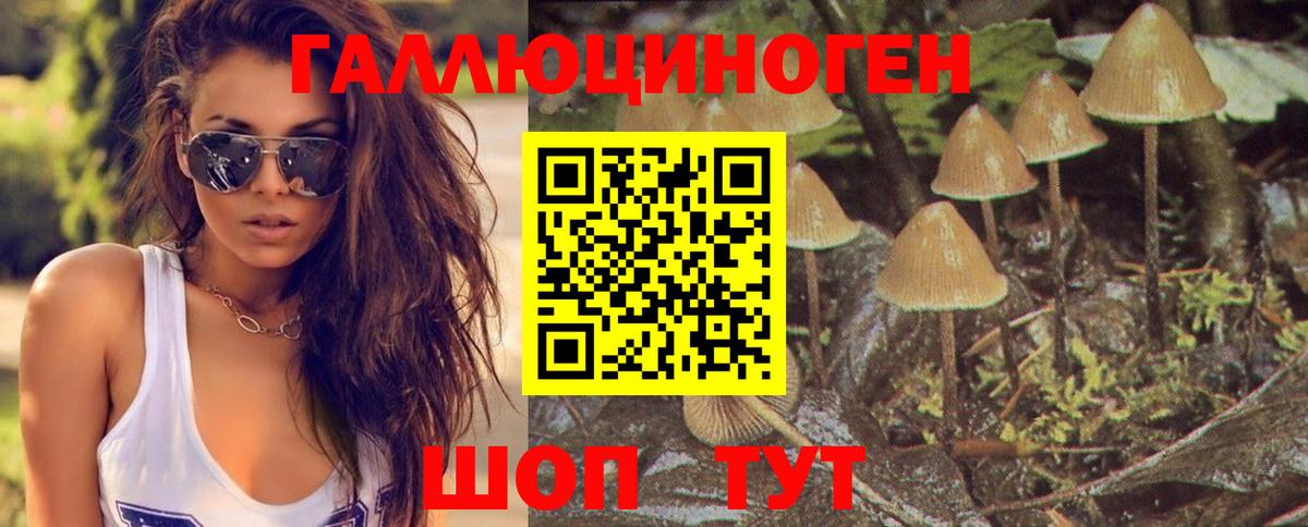Галлюциногенные грибы ЛСД  цены   Губаха  Вход с VPN 