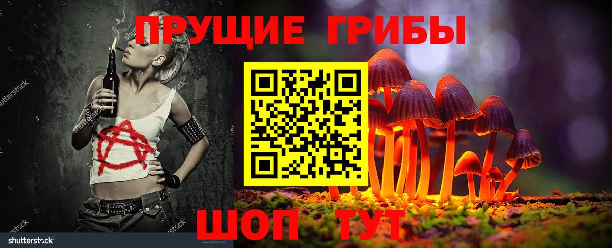 Псилоцибиновые грибы Psilocybine cubensis Губаха